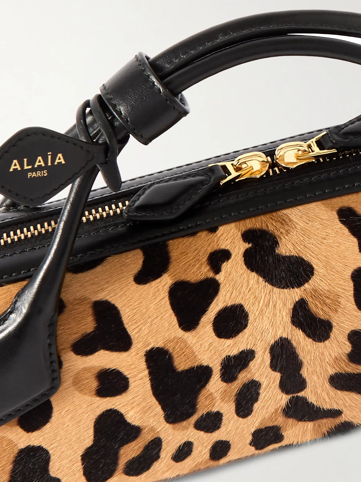 Le Teckel Leather-trimmed Leopard-print Calf Hair Clutch