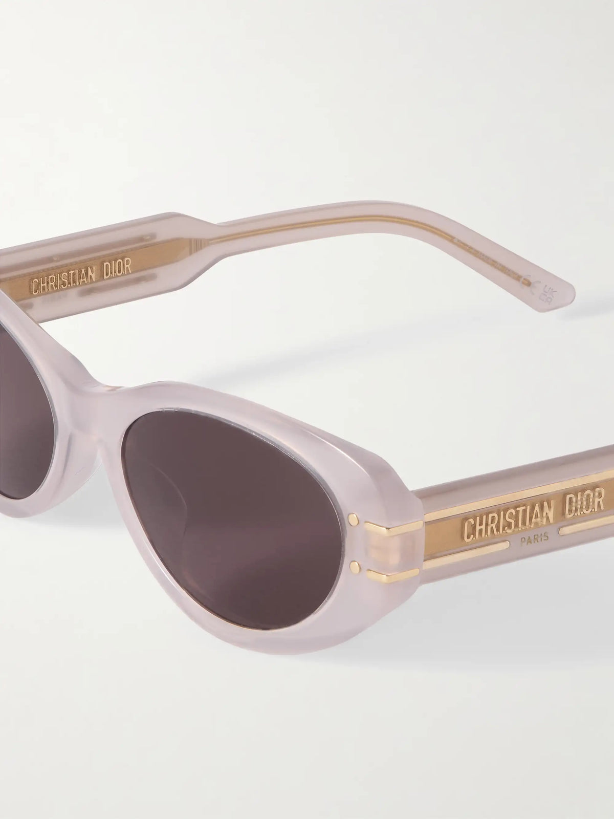 Diorsignature B8u Oval-frame Acetate Sunglasses
