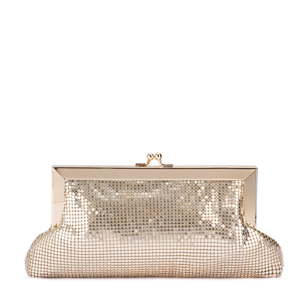 Olga Berg ZARA Mesh Frame Clutch (Bag)