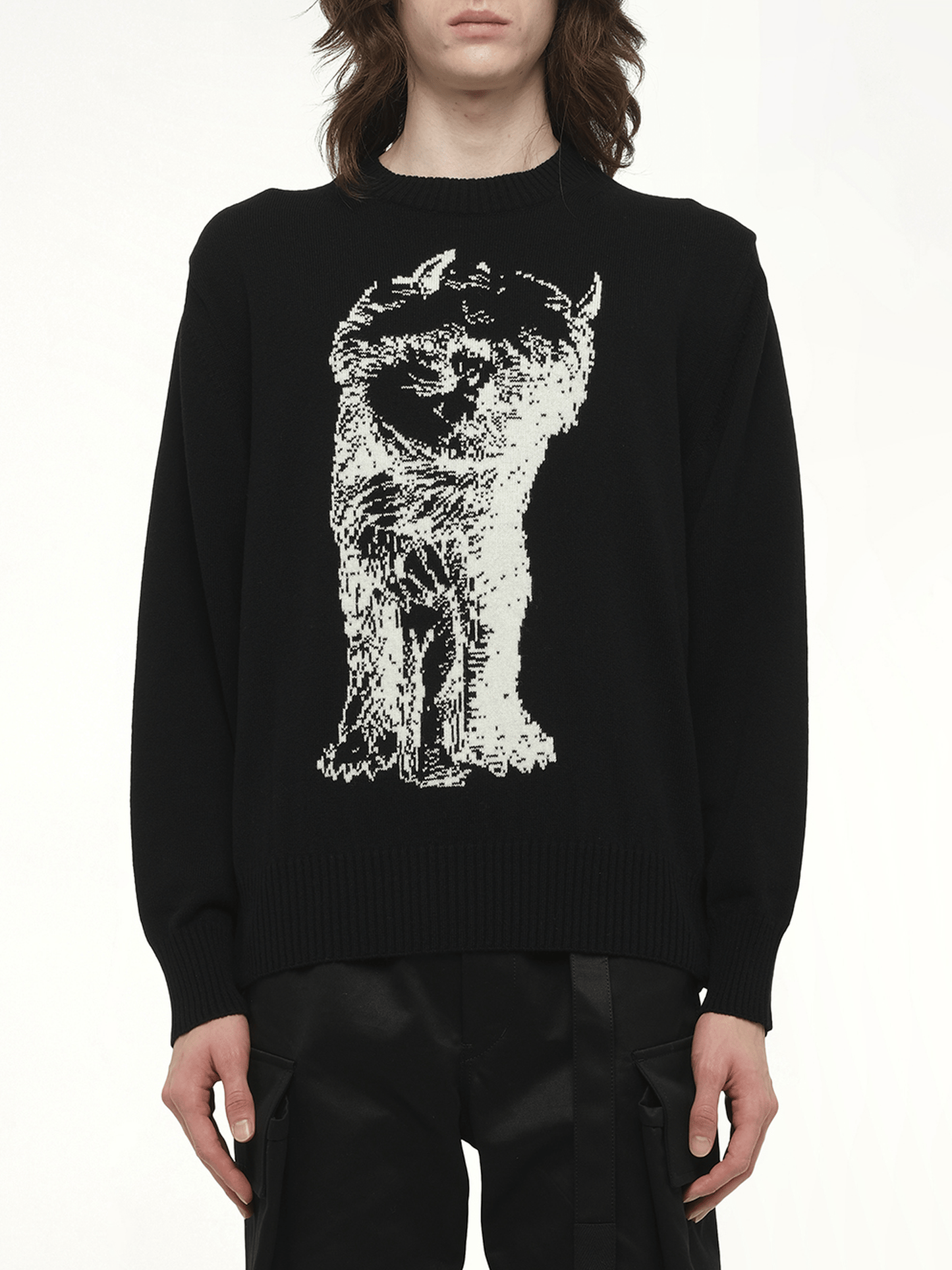 Image of a model wearing Outerwear. Productname: SACAI WHERE THE WILD THINGS ARE Wool Knit Pullover in Black colour by brand - SACAI