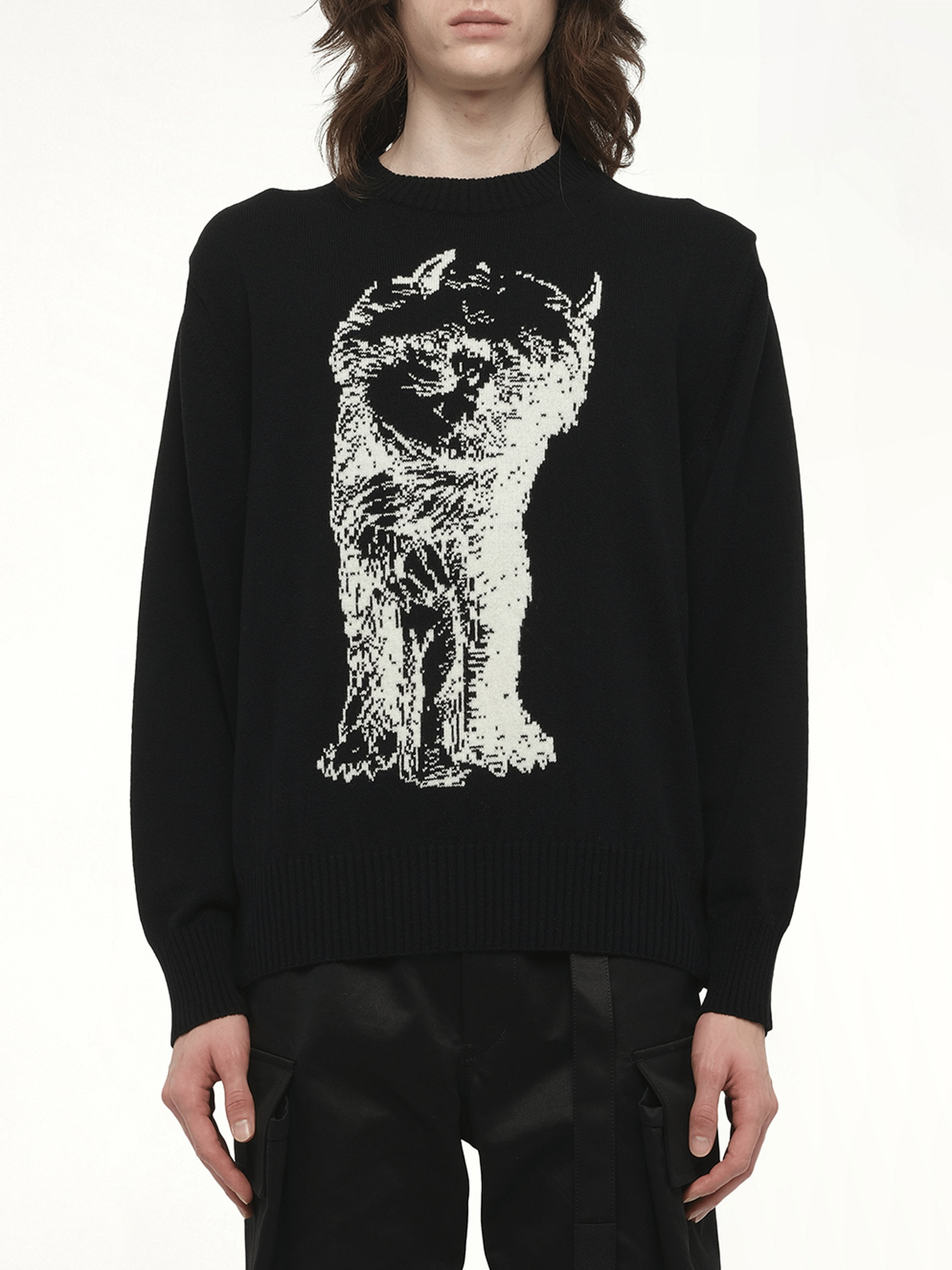 Image of a model wearing Outerwear. Productname: SACAI WHERE THE WILD THINGS ARE Wool Knit Pullover in Black colour by brand - SACAI
