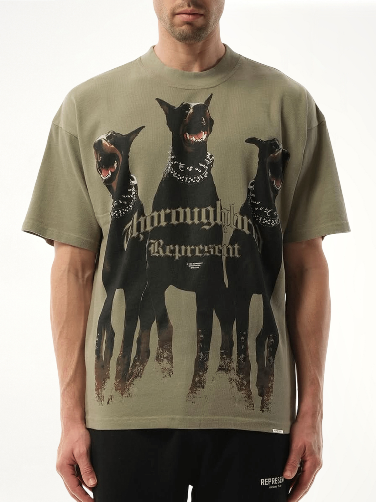 Image of a model wearing Tops. Productname: REPRESENT Thoroughbred T-Shirt in GREEN colour by brand - REPRESENT