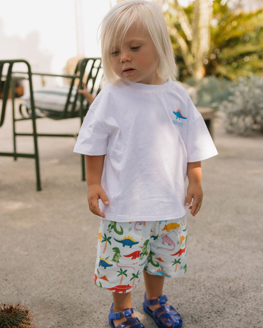 Walnut Melbourne Felix Tee (Rainbow Dino)