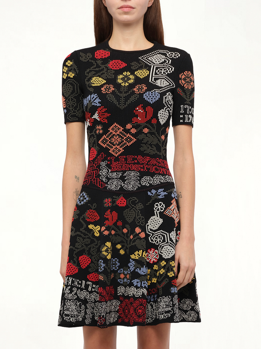 Image of a model wearing Dress. Productname: ALEXANDER MCQUEEN Knit Dress in Multi colour by brand - ALEXANDER MCQUEEN