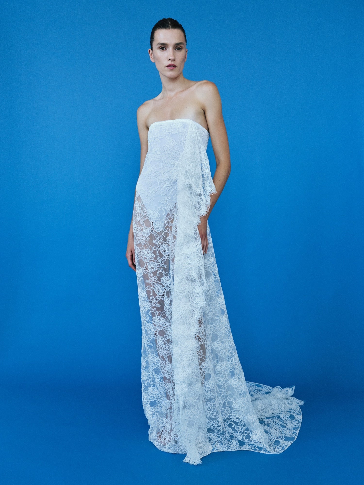 Image of Dresses. Productname: Christopher Esber Floating Lace Strapless Gown in White colour by brand - Christopher Esber
