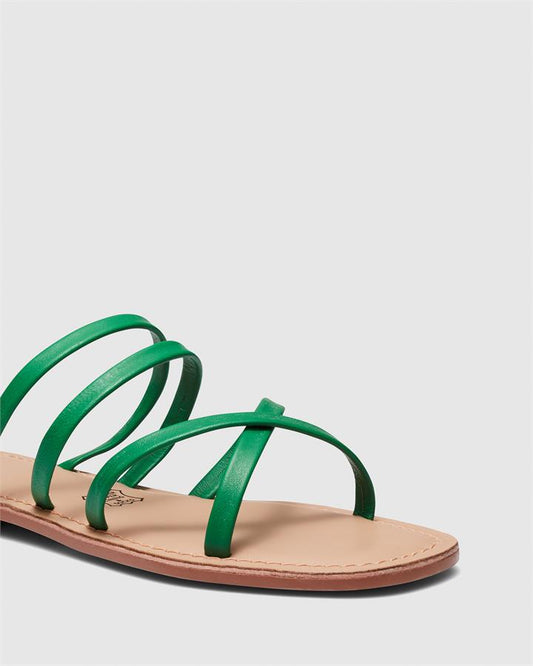 Image of Sandals. Product name - Simona Women's Thongs GREEN Novo Thongs in Green colour by brand - NOVO