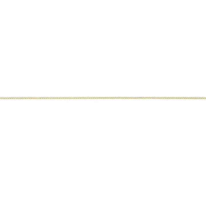 Image of Necklaces. Productname: 9kt Yellow Gold Curb Necklace 55cm in Gold colour by brand - Bevilles