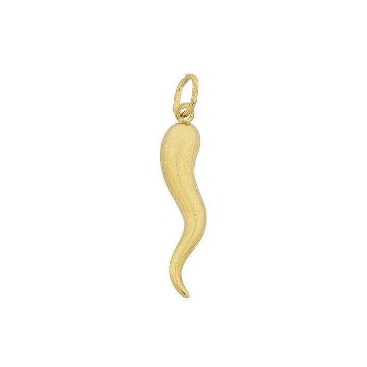 Image of Charms. Productname: 9kt Yellow Gold Chilli Pepper Pendant in Gold colour by brand - Bevilles