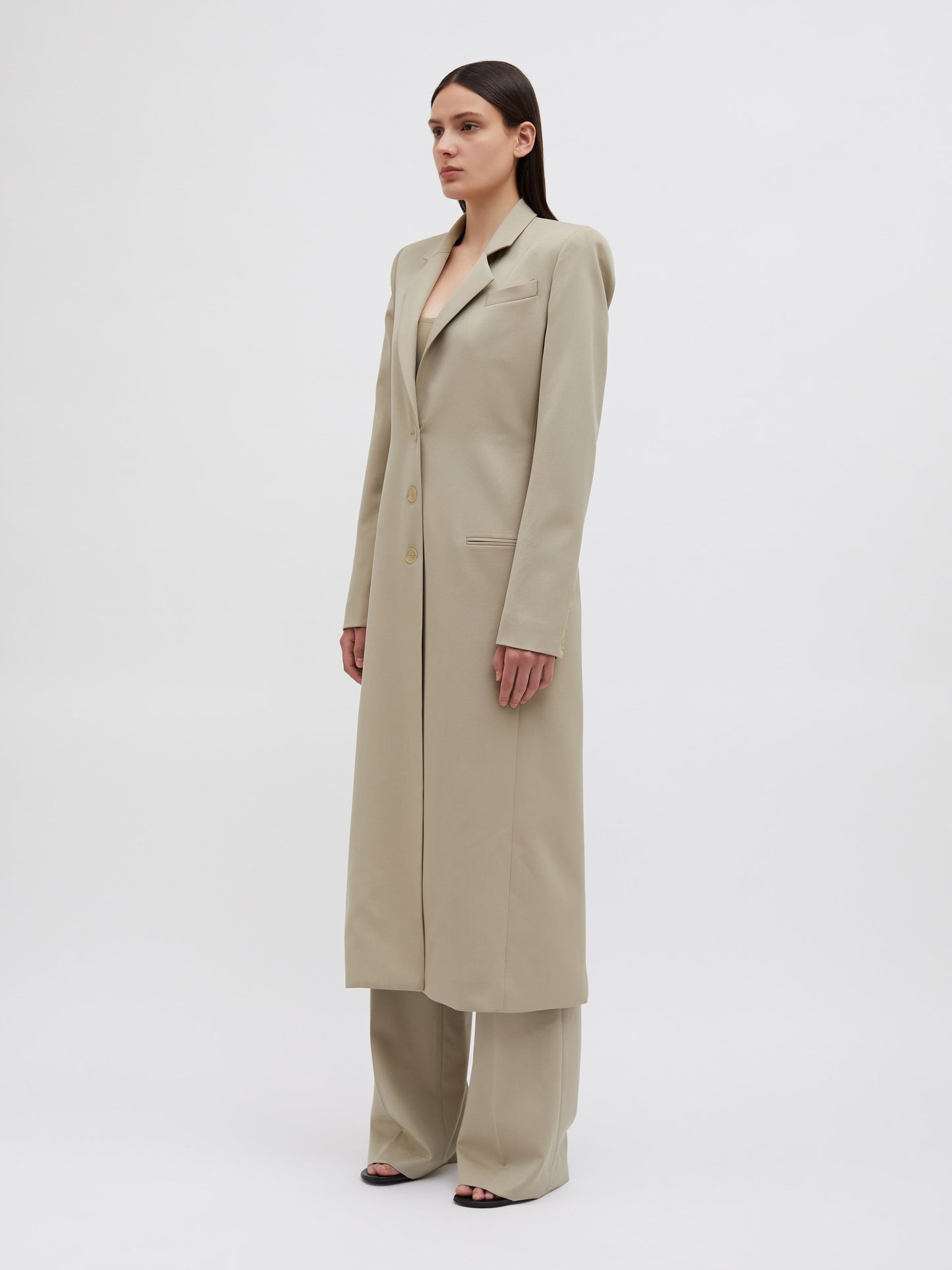 Christopher Esber Talus Tailored Coat (Taupe)