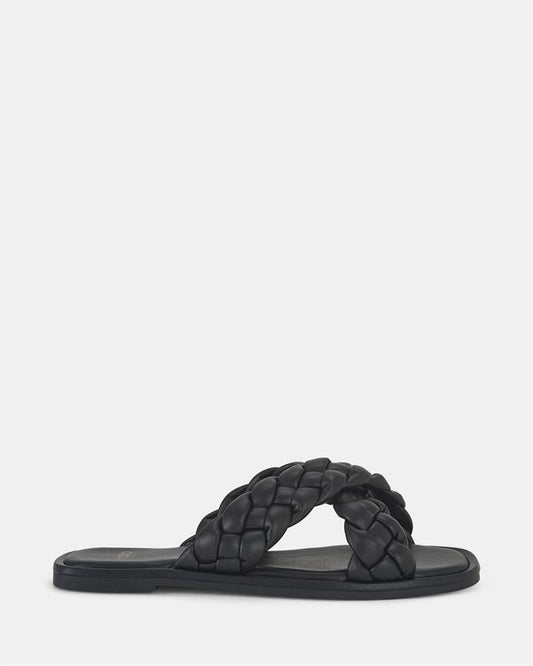 Image of Sandals. Product name - Shelly Women's Thongs BLACK Novo Thongs in Black colour by brand - NOVO