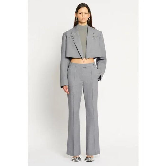 Image of a model wearing Pants. Productname: Moon Dial Pant in Silver colour by brand - sass and bide