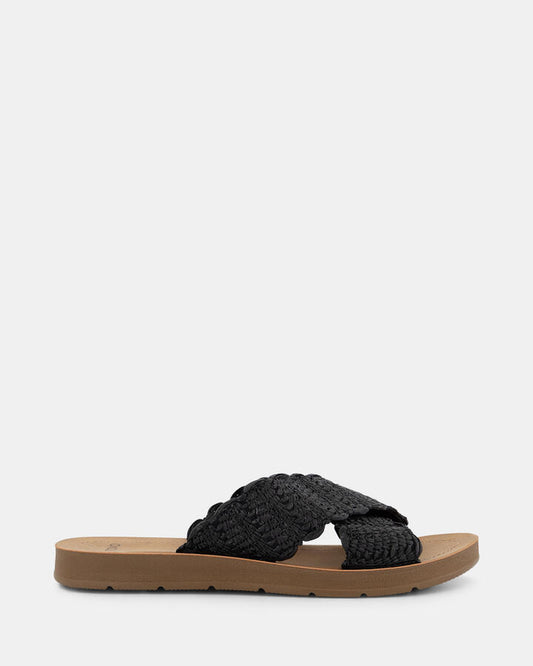 Image of Sandals. Product name - Thiago Women's Thongs BLACK RAFFIA Novo Thongs in Black Raffia colour by brand - NOVO