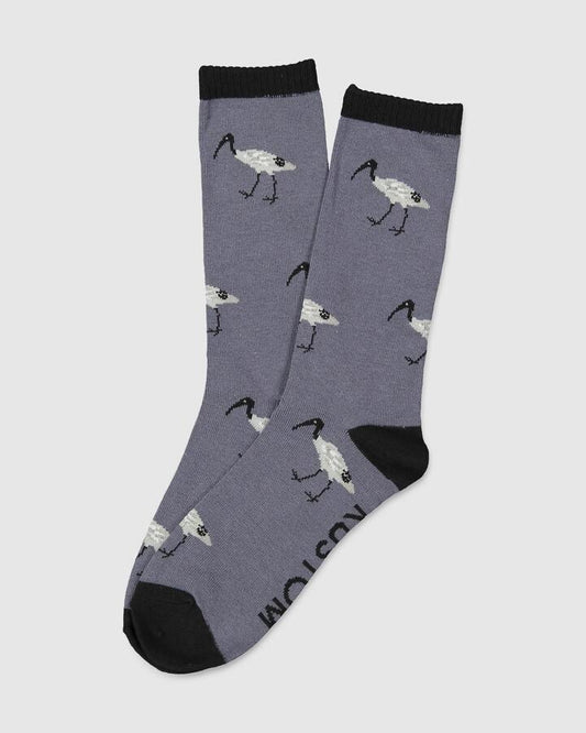 Image of Socks. Product name - Kustom Mens Ibis Crew Socks Multi in Multi colour by brand - Kustom