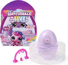 Image of Dolls. Product name - Hatchimals Alive Rainbow Splash Fizzy Colour Surprise in colour by brand - Hatchimals