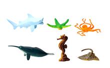 Image of Toys. Product name - Marine Animals Toys Figures Kids Set 6pcs in colour by brand - Toymate