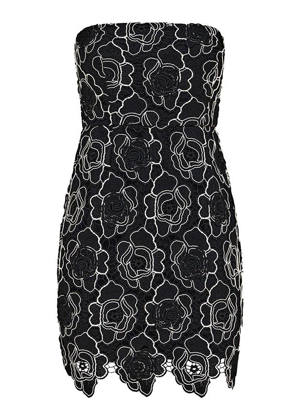 Image of a model wearing Dress. Productname: Dahlia Lace Mini Dress in Black colour by brand - MOS The Label