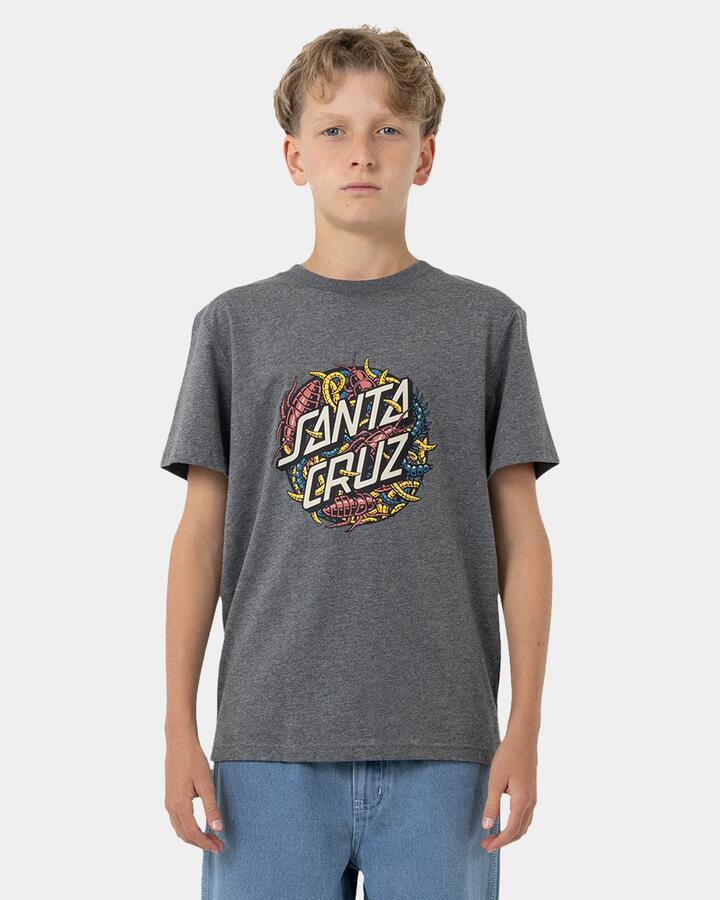 Image of a model wearing Tops. Product name - Santa Cruz Boys 8-16 Bug Dot Front Short Sleeve T-Shirt Dark Grey Marle in Dark Grey Marle colour by brand - Santa Cruz