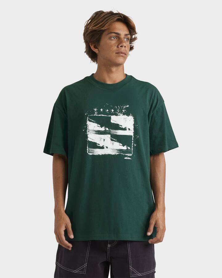 Image of T-Shirts. Product name - Quiksilver Mens Scanner T-Shirt Botanical Garden in Botanical Garden colour by brand - Quiksilver