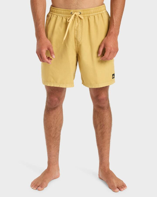 Image of a model wearing Shorts. Product name - Quiksilver Mens Everyday Volley 17" Swim Shorts Rattan in Rattan colour by brand - Quiksilver