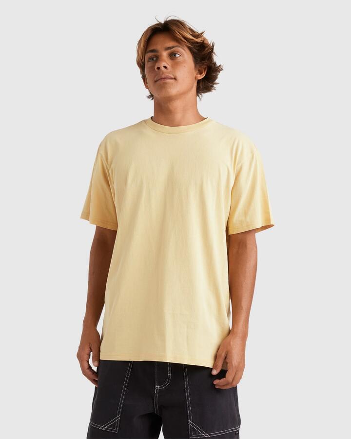 Image of T-Shirts. Product name - Quiksilver Mens Salt Water Crew T-Shirt Rattan in Rattan colour by brand - Quiksilver