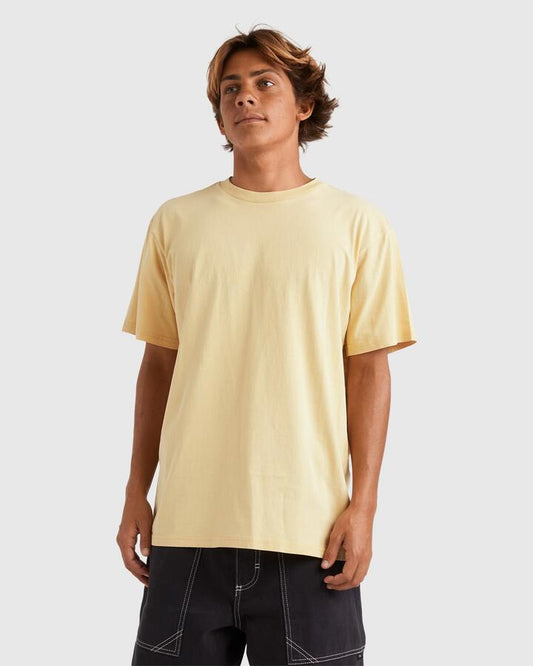 Image of T-Shirts. Product name - Quiksilver Mens Salt Water Crew T-Shirt Rattan in Rattan colour by brand - Quiksilver