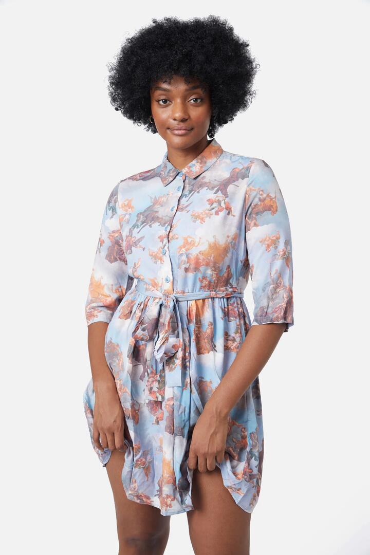 Image of a model wearing Dress. Productname: Art Mural Viscose Dress in Blue colour by brand - Dangerfield
