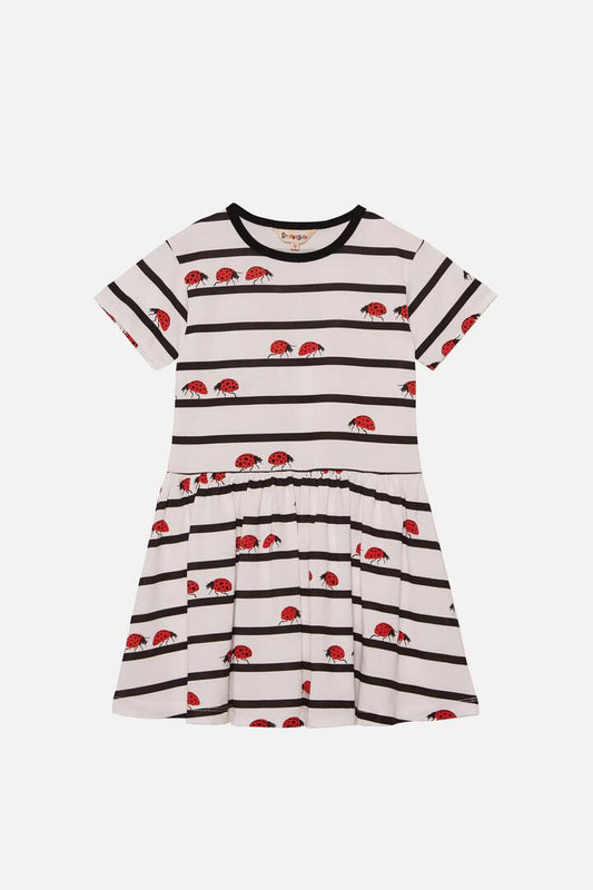 Image of a model wearing Dress. Productname: Ladybug Stripe Kids Jersey Dress in Stripe colour by brand - Dangerkids
