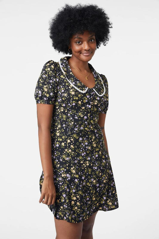 Image of a model wearing Dress. Productname: Erika Dress in Black colour by brand - Princess Highway