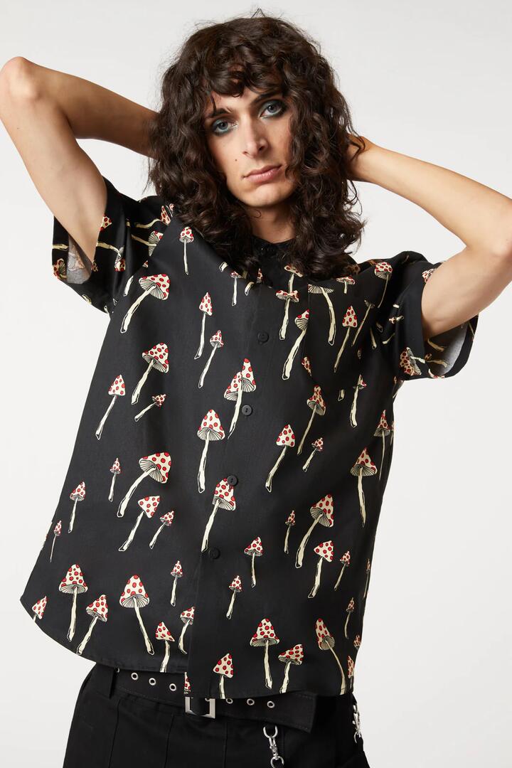 Image of Shirts. Product name - Shroom Cap SS Shirt in Black colour by brand - Dangerfield