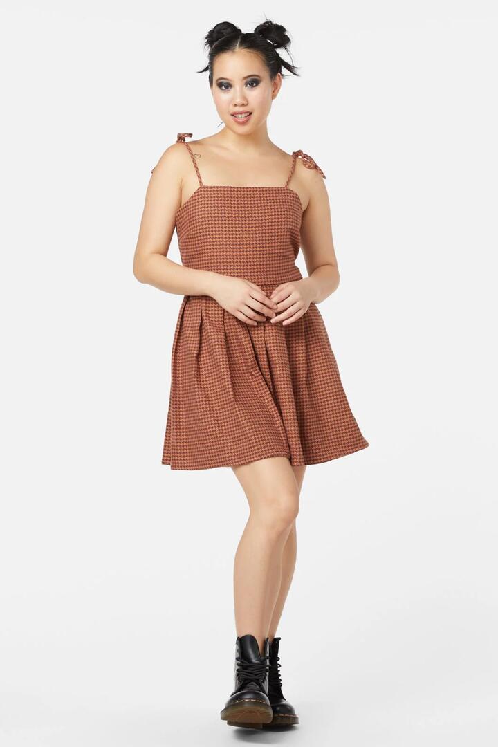 Image of a model wearing Dress. Productname: Dodo Houndstooth Dress in Brown colour by brand - Dangerfield