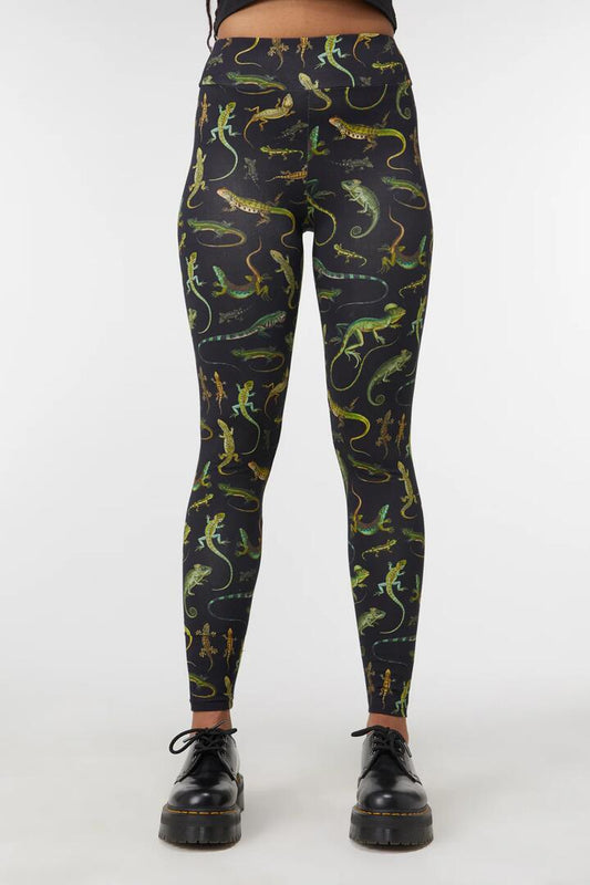 Image of a model wearing Pants. Productname: Lizard Fam Cotton Legging in Black colour by brand - Dangerfield