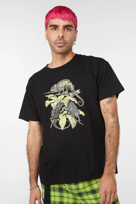 Image of a model wearing Tops. Productname: Chameleon Cotton Boxy Tee in Black colour by brand - Dangerfield