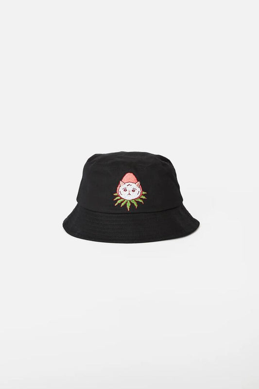Image of Hats. Productname: Strawberry Patch Hat in Black colour by brand - Dangerfield