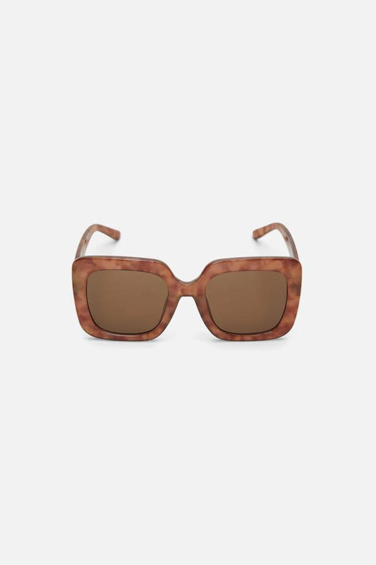 Image of Sunglasses. Productname: Oversized Square Sunglasses in Tort colour by brand - Princess Highway