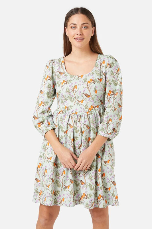 Image of a model wearing Dress. Productname: Robin Mini Dress in Sage colour by brand - Princess Highway