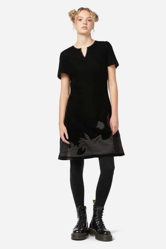 Image of a model wearing Dress. Productname: Still Life Velvet Dress in Black colour by brand - Dangerfield