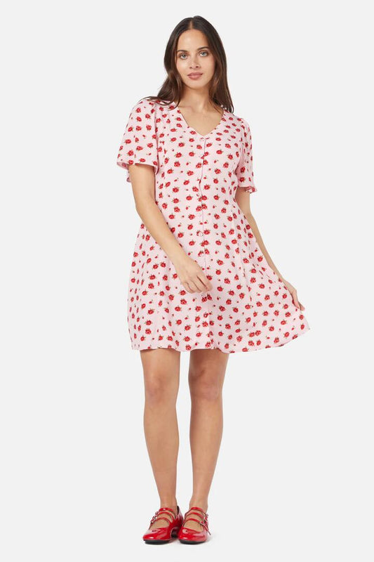 Image of a model wearing Dress. Productname: Baby Roses Mini Dress in Pink colour by brand - Princess Highway