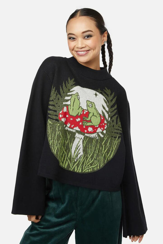 Image of a model wearing Tops. Productname: Frog Friends Knit in Black colour by brand - Black Friday