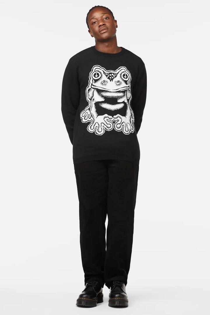 Image of a model wearing Tops. Productname: Frog Friend Unisex Knit in Black colour by brand - Black Friday