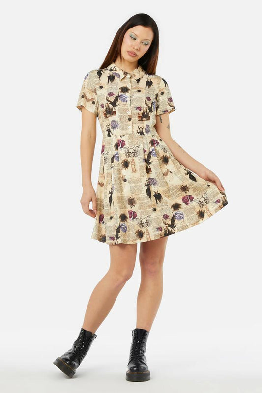Image of a model wearing Dress. Productname: Ruled Journal Dress in Cream colour by brand - Dangerfield