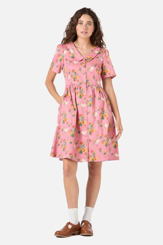 Image of a model wearing Dress. Productname: Chickens Mini Shirt Dress in Pink colour by brand - Princess Highway