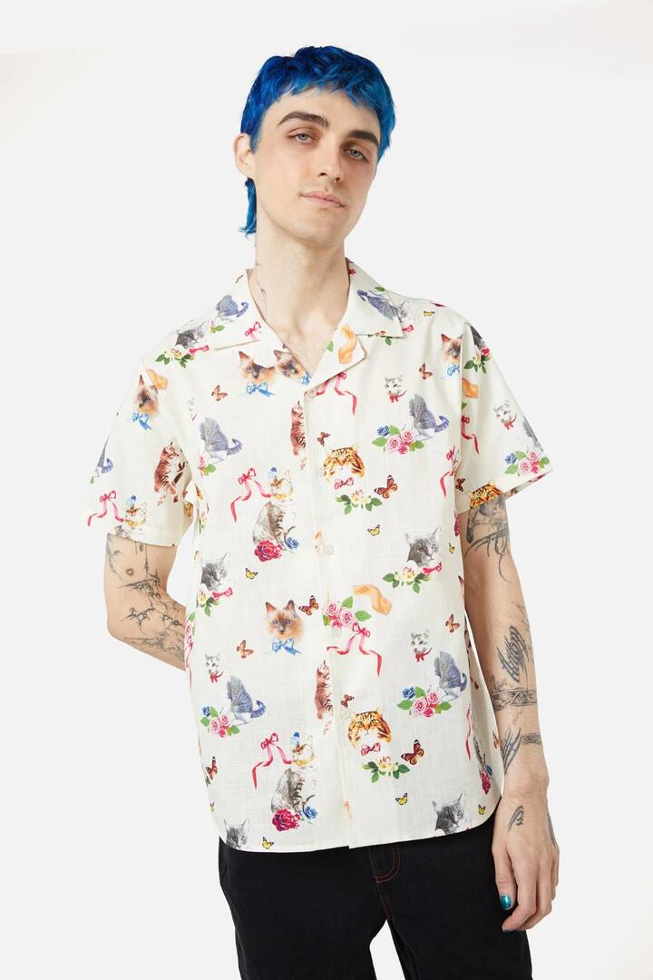 Image of a model wearing Tops. Productname: Kitsch Kitty SS Shirt in Cream colour by brand - Dangerfield
