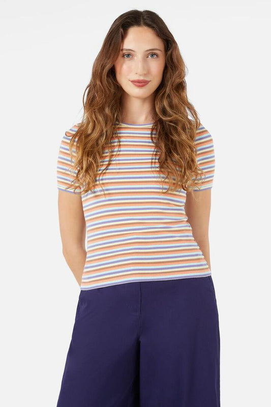 Image of a model wearing Tops. Productname: Jennifer Stripe Tee in Multi colour by brand - Princess Highway
