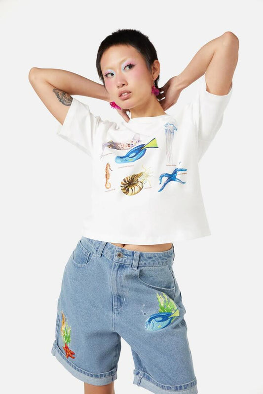 Image of a model wearing Tops. Productname: Oceanic Tee in Cream colour by brand - Dangerfield