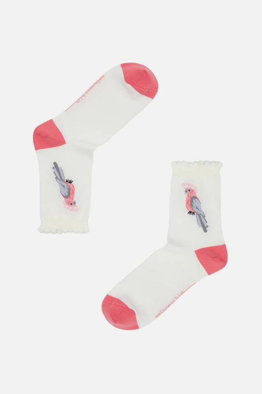 Image of Socks. Productname: Galah Socks in Cream colour by brand - Princess Highway