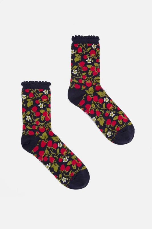 Image of Socks. Productname: Raspberry Sock in Navy colour by brand - Princess Highway