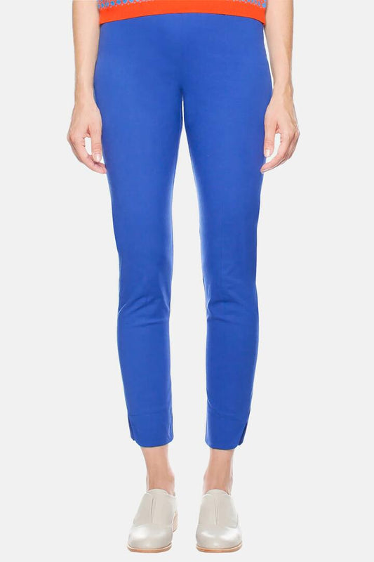 Image of a model wearing Pants. Productname: Mid Rise Skinny Pant in Blue colour by brand - Gorman