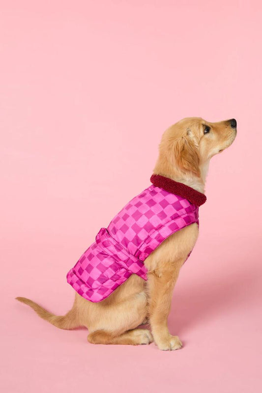 Image of a model wearing Outerwear. Productname: Blush Grids Dog Puffer in Print colour by brand - Gorman