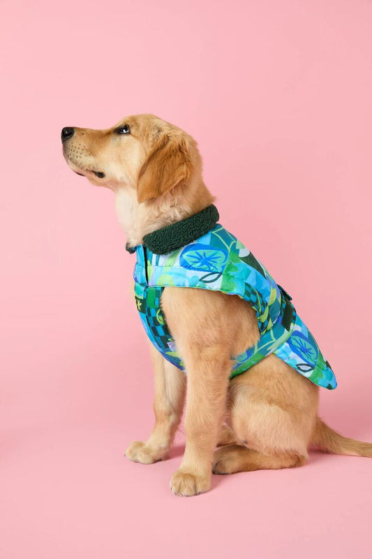 Image of a model wearing Outerwear. Productname: Leaves Dog Puffer in Print colour by brand - Gorman