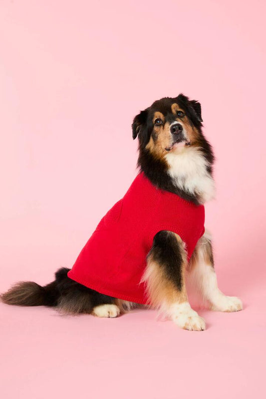Image of a model wearing Outerwear. Productname: Heart Felt Knit Dog Jumper in Red colour by brand - Gorman